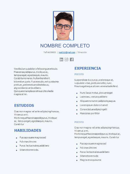 plantilla currículum director